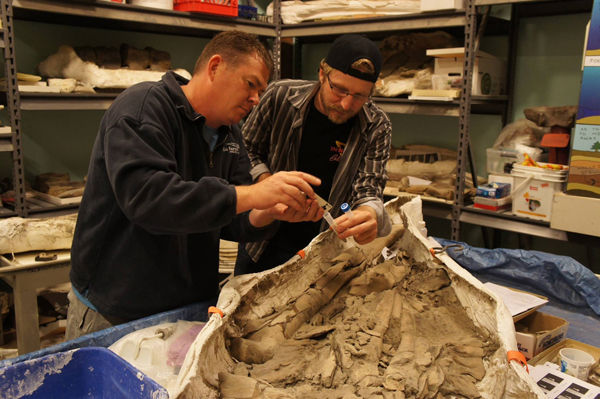 beer brewed out of real fossils