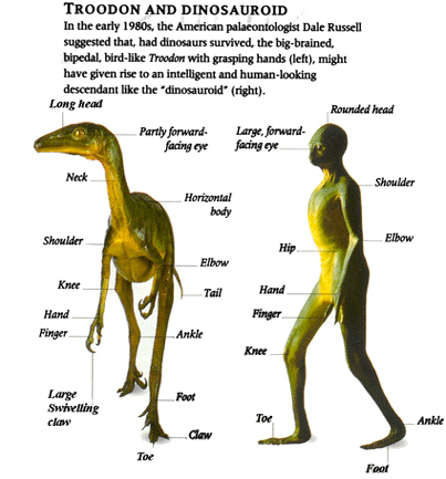Image result for intelligent dinosaurs