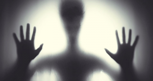 Crack their Own Case