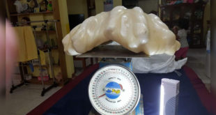 People did not Realize the Worth