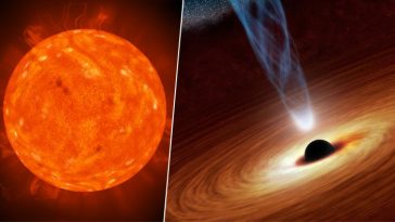 Facts about Black Holes